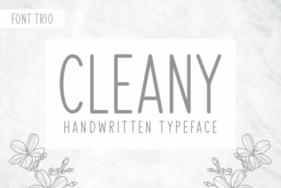 How Cleany Transformed My Brand’s Visual Identity